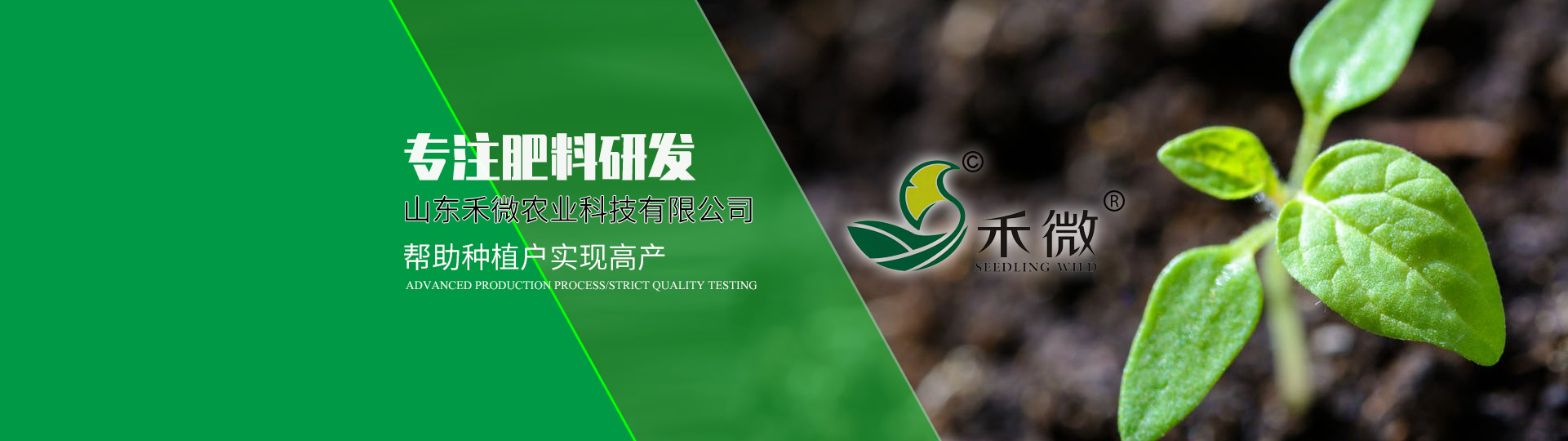 火狐电竞体育平台